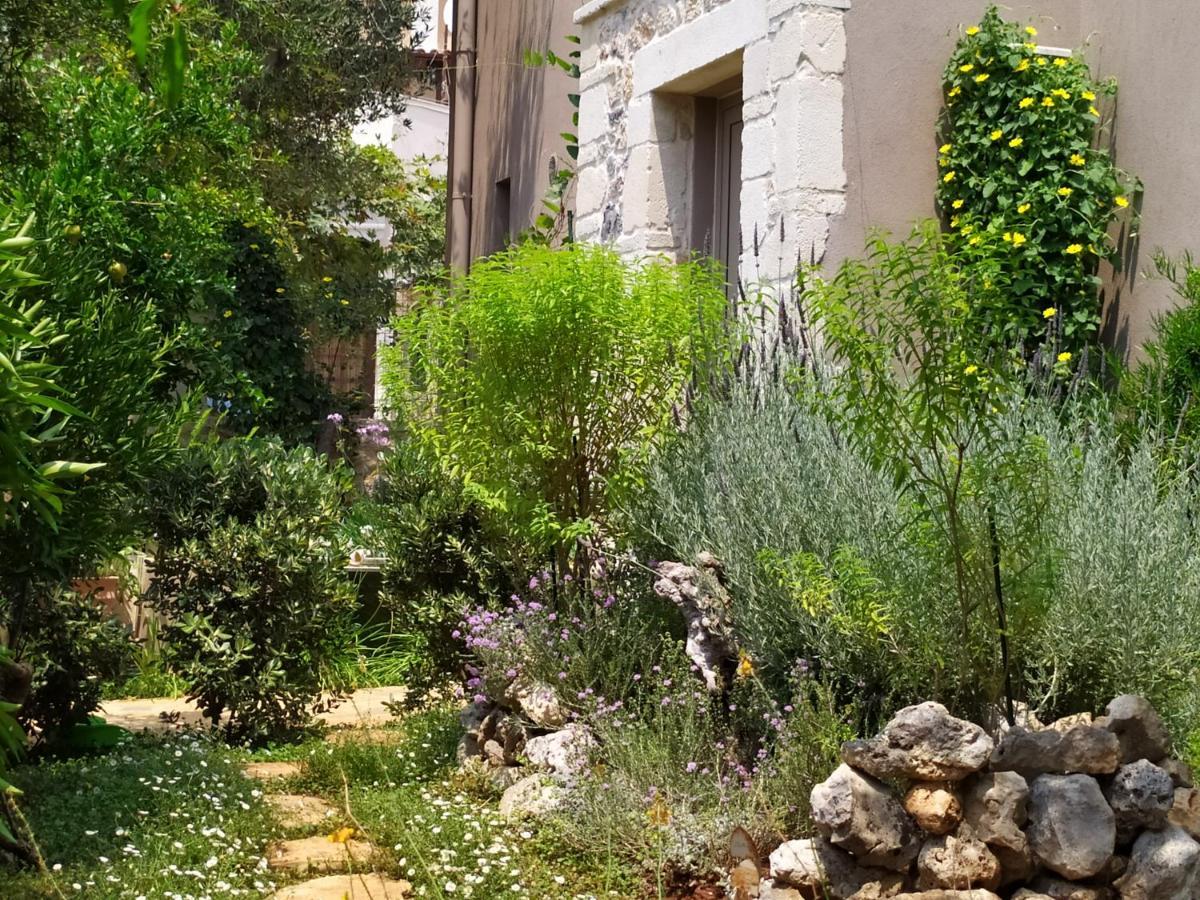 Olive Lemon Biophilic House & Lush Forest Garden Vamos Bagian luar foto