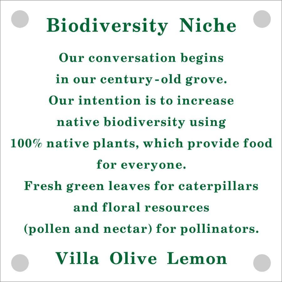Olive Lemon Biophilic House & Lush Forest Garden Vamos Bagian luar foto