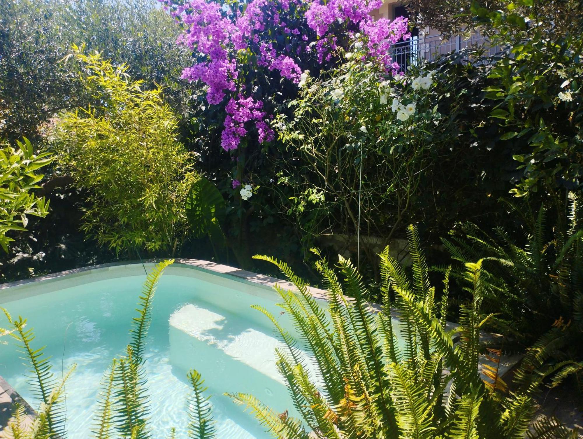 Olive Lemon Biophilic House & Lush Forest Garden Vamos Bagian luar foto