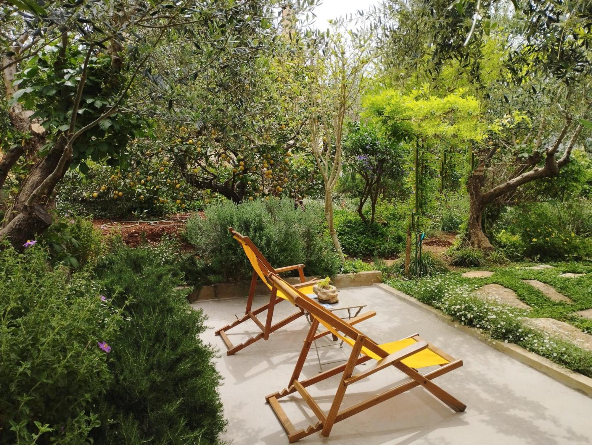 Olive Lemon Biophilic House & Lush Forest Garden Vamos Ruang foto